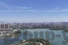 德州扑克庄家变化-德州扑克庄家变化,策略与适应性的博弈