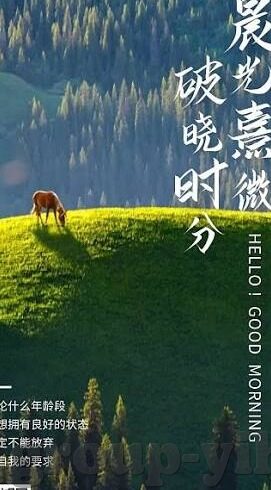 足球篮球时时比分-实时比分,足球与篮球的激情心跳
